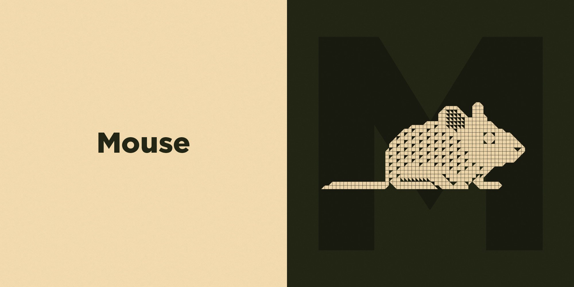 PolyS_Layer Comp 13.jpg