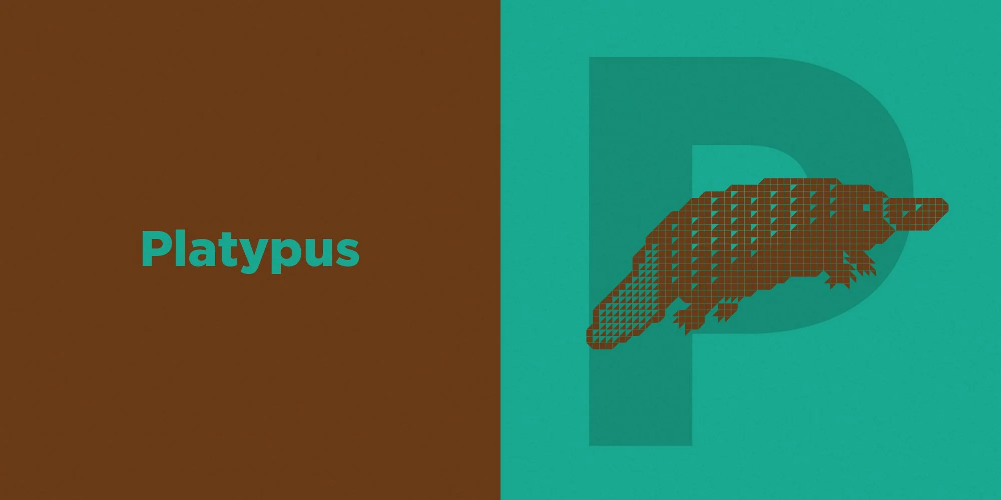 PolyS_Layer Comp 16.jpg