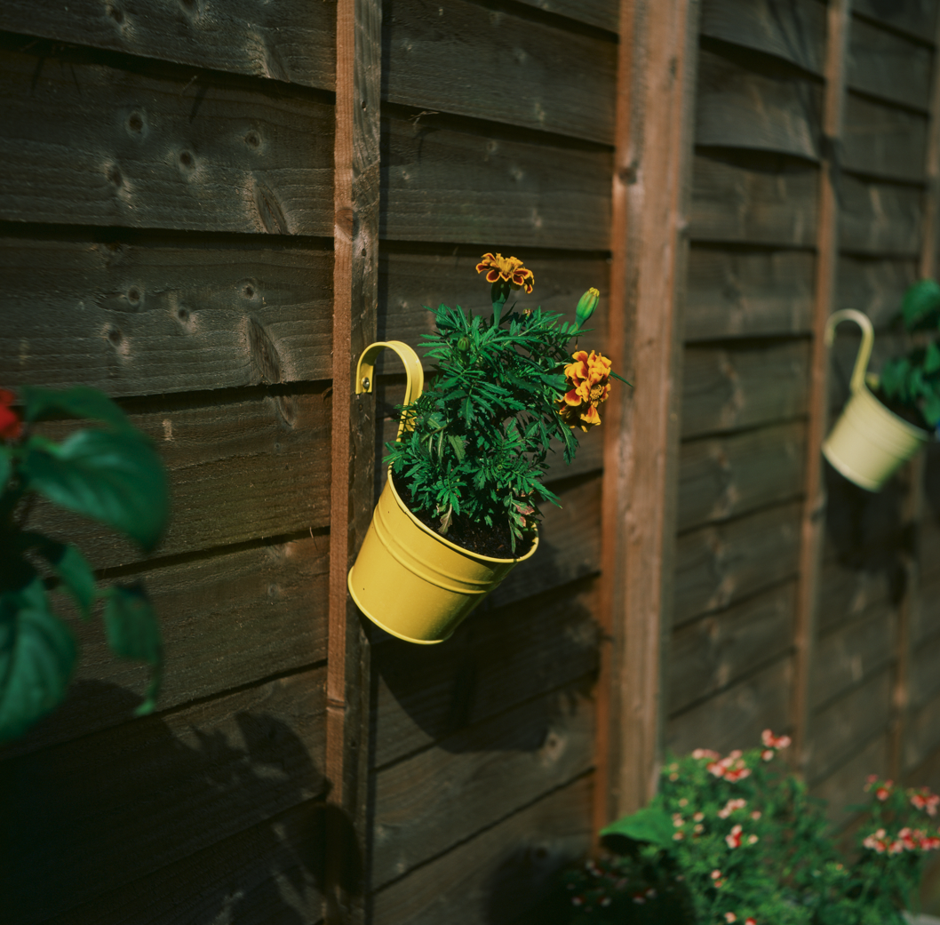 Screenshot 2025-04-07 231224.png