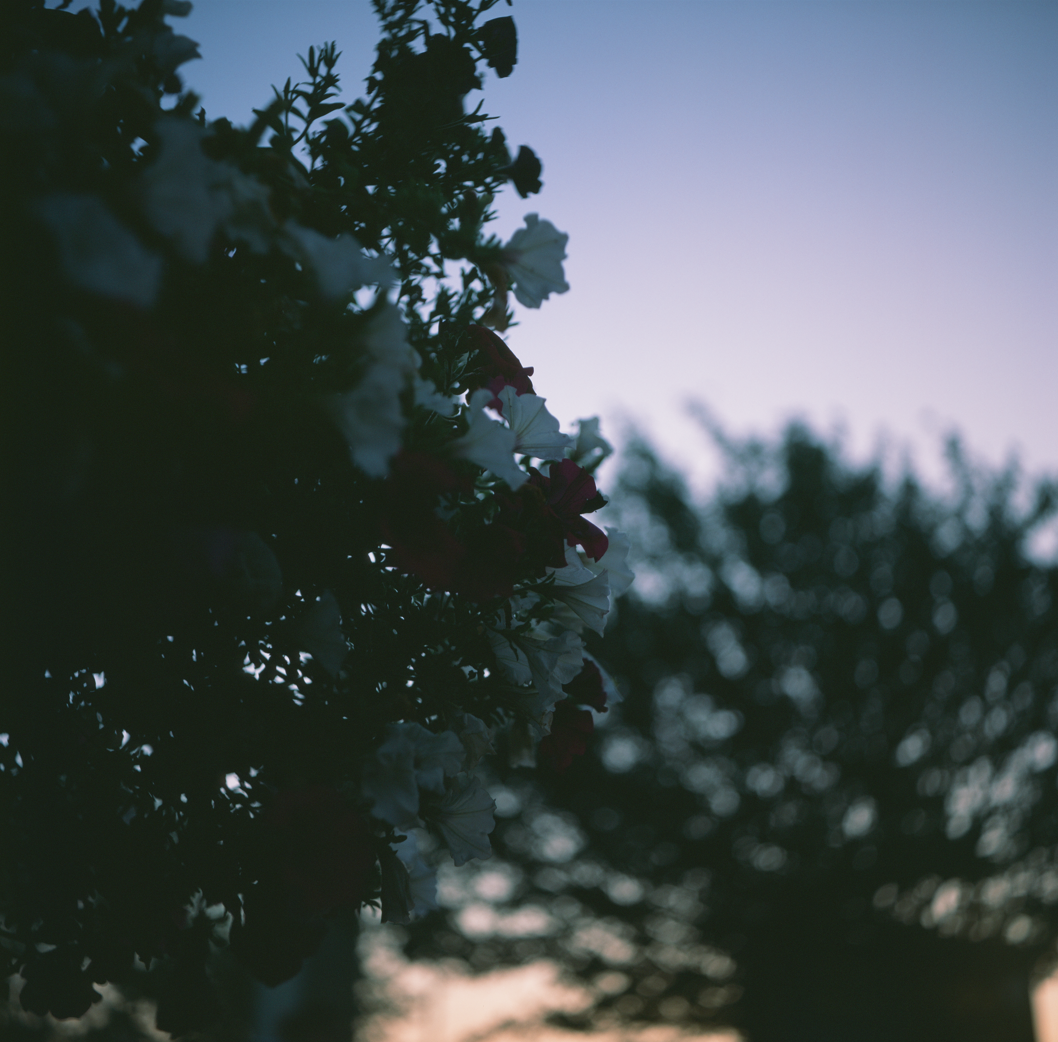 Screenshot 2025-04-07 231201.png