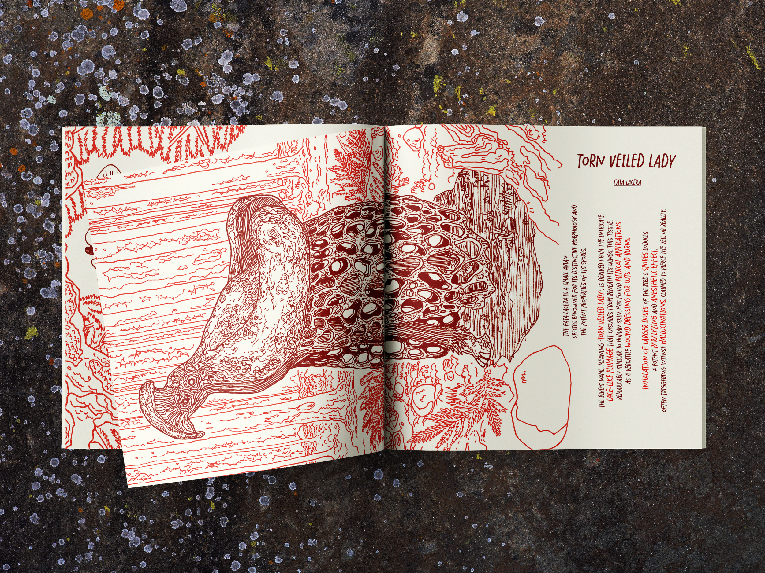 ZINEbrochure_front01_01.png
