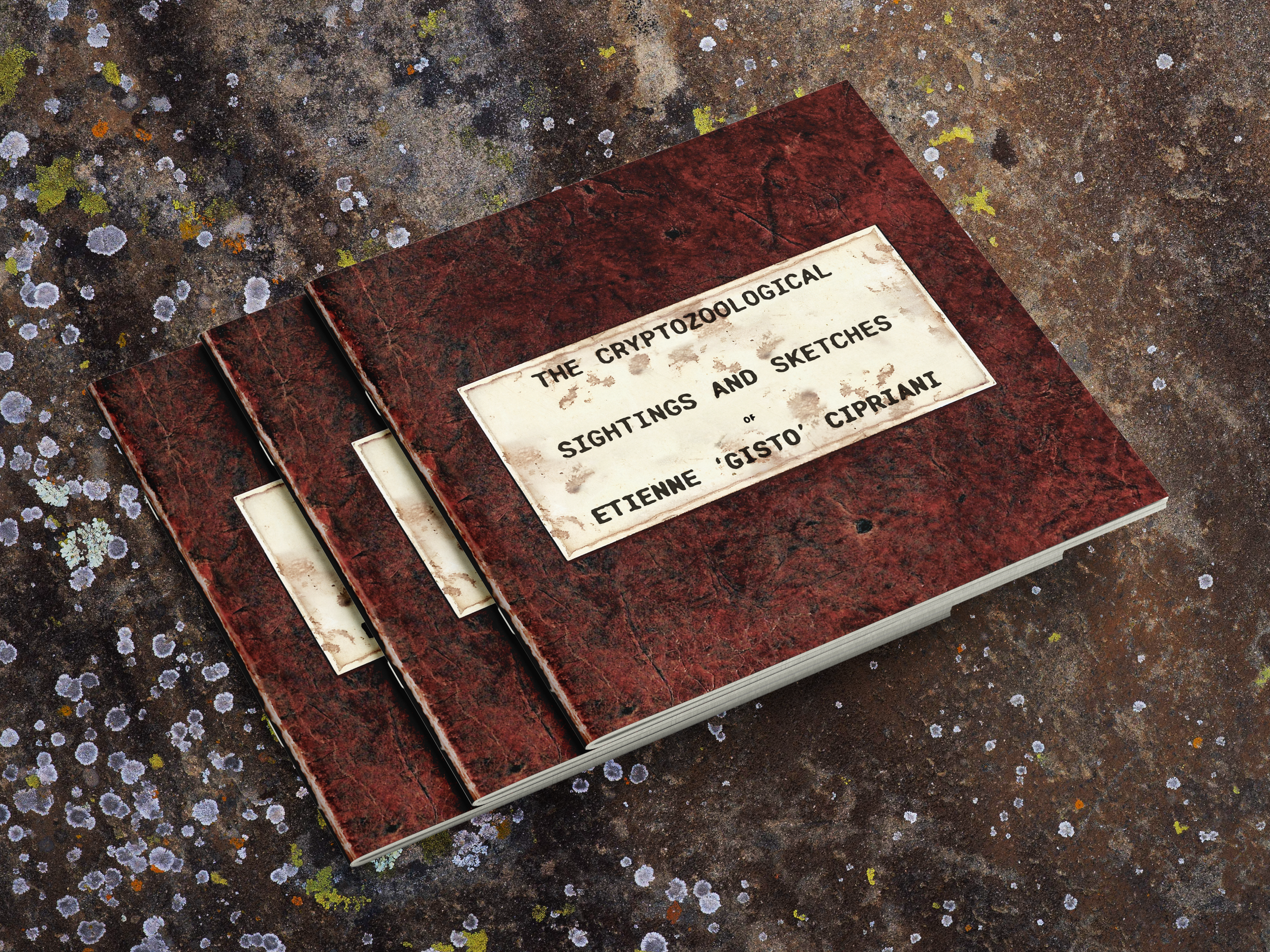 ZINEbrochure_triplefront01_01.png