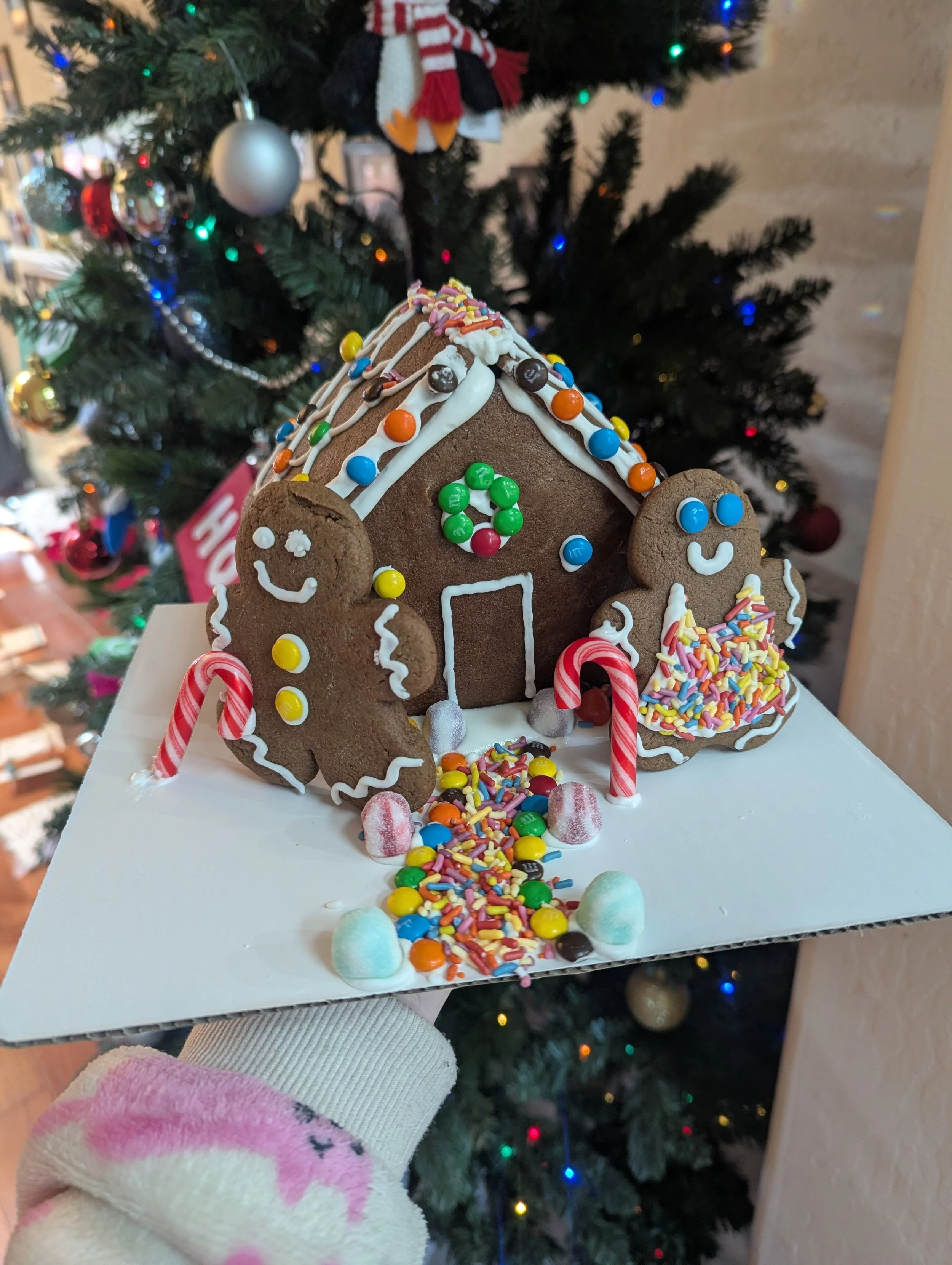 Gingerbread Kits
