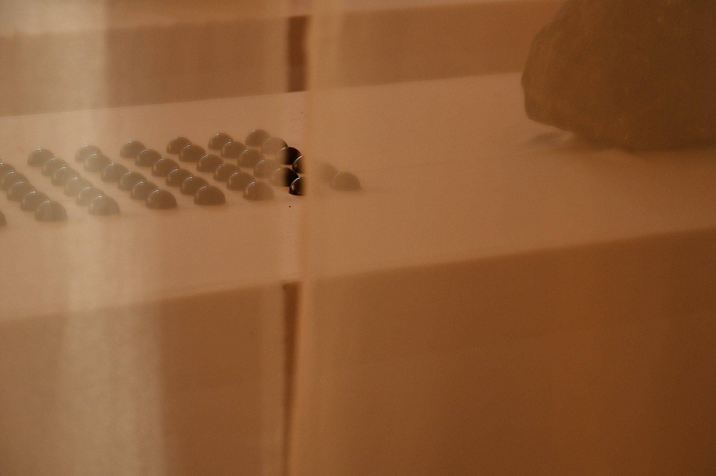 DSC_2501.jpeg
