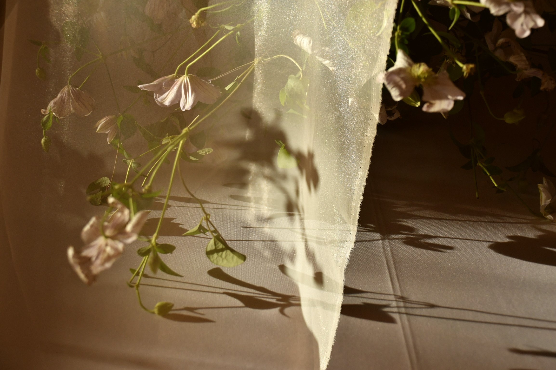 780BBED1-83FF-4395-91E7-E1157DD649D9.jpeg
