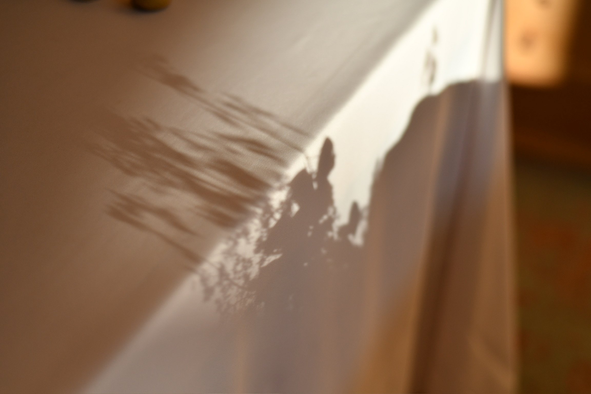DSC_2564.jpeg