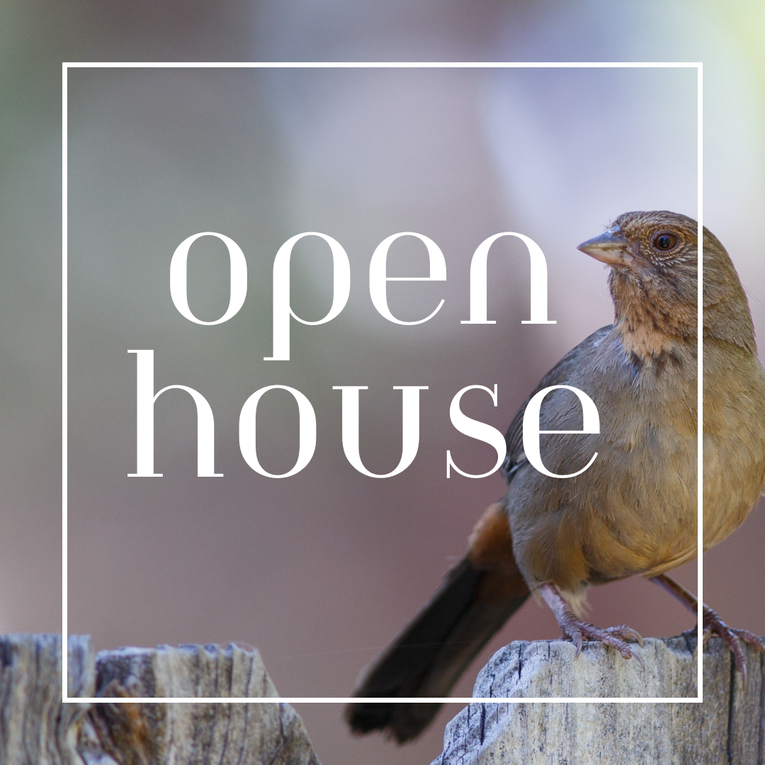 Open House