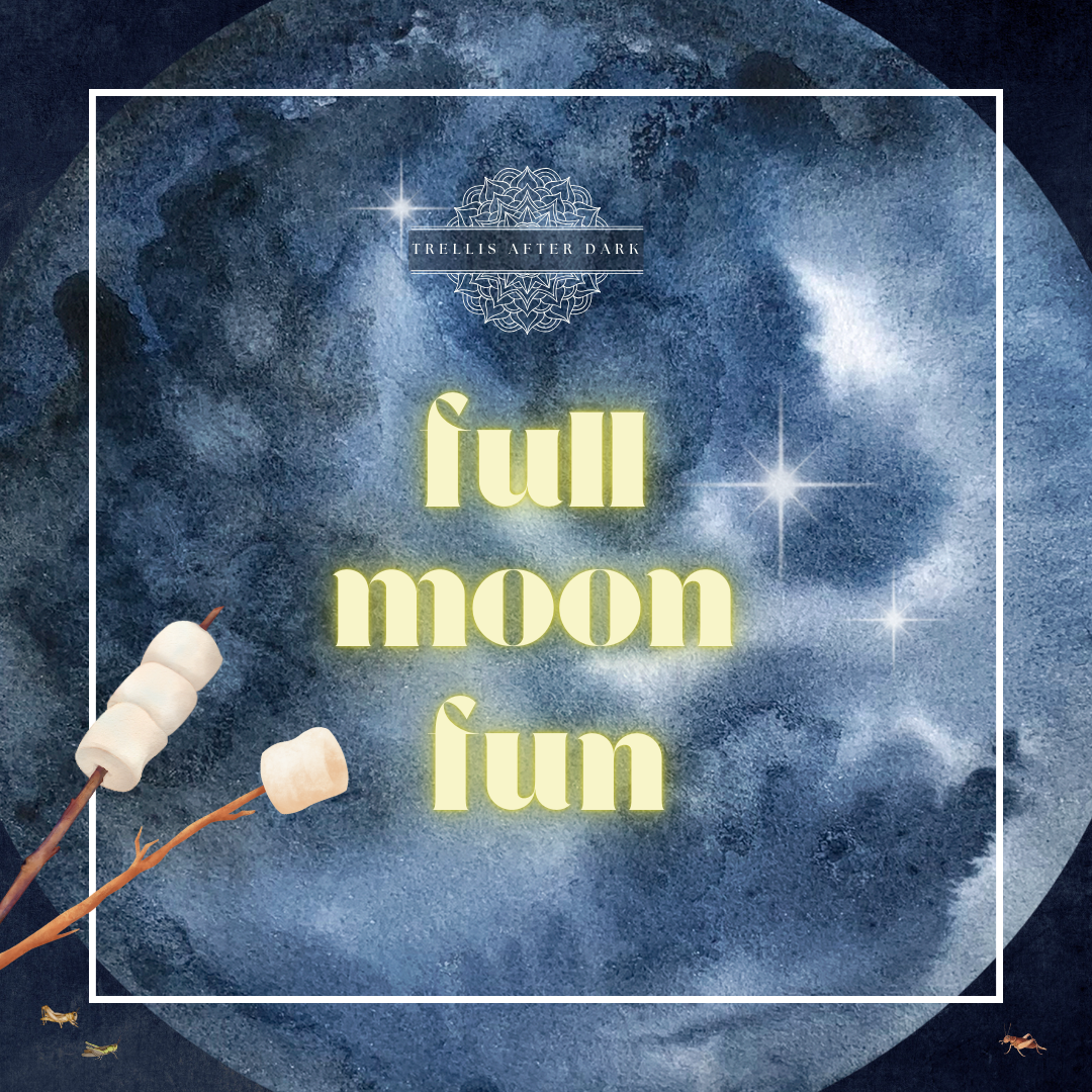 Trellis After Dark : Back to Trellis