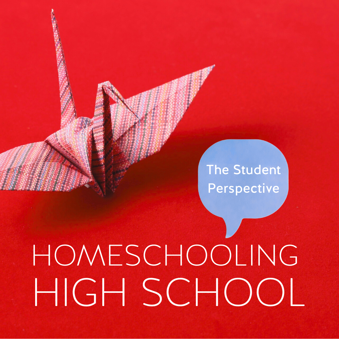Homeschooling High School: The Student Perspective