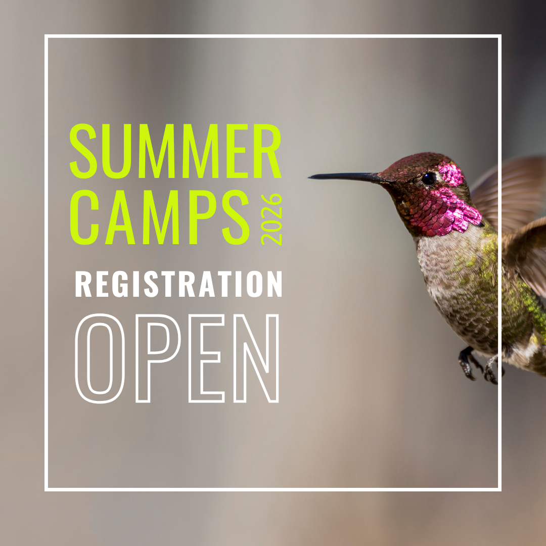 Summer Camps 2026 Registration Open