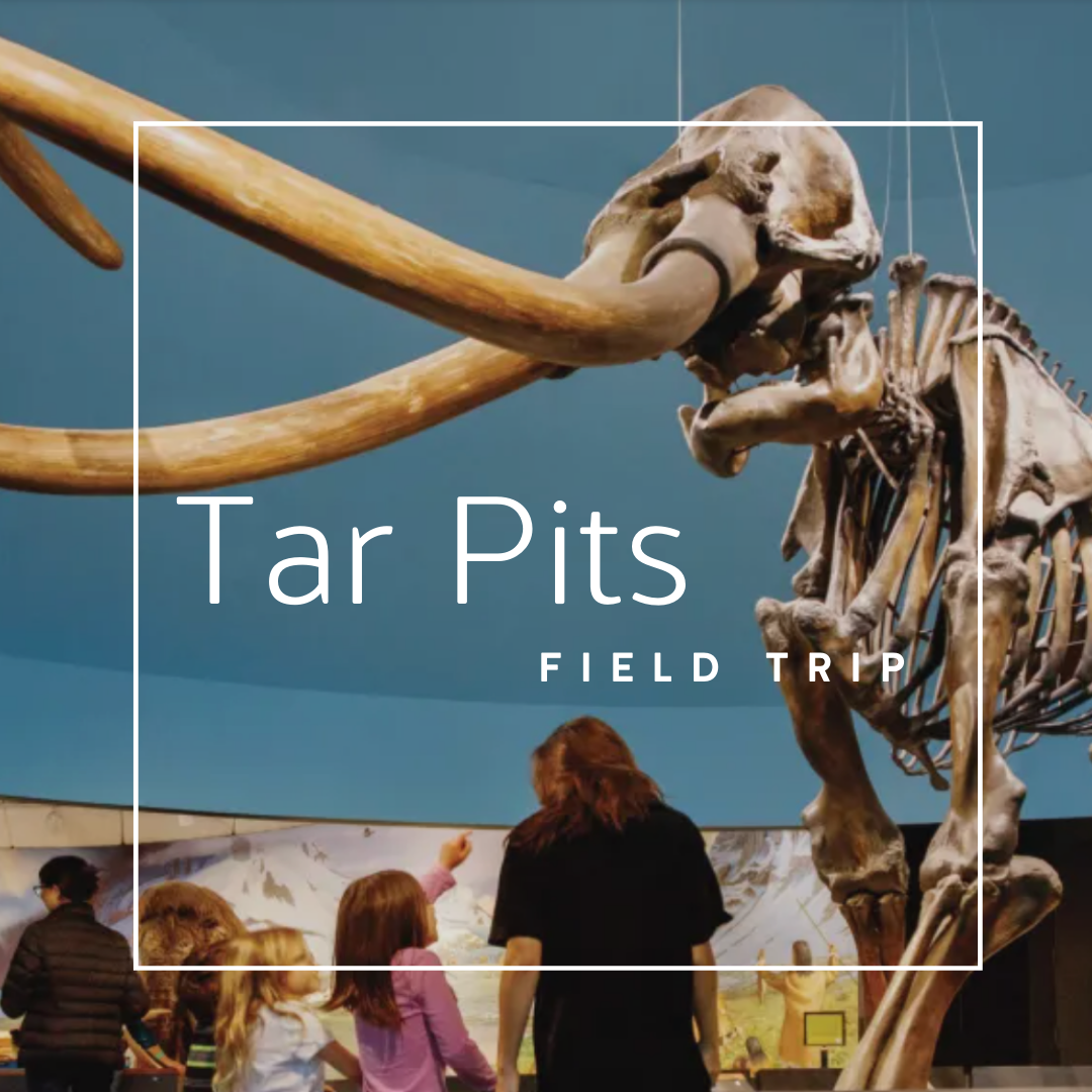 La Brea Tar Pits Fiield Trip
