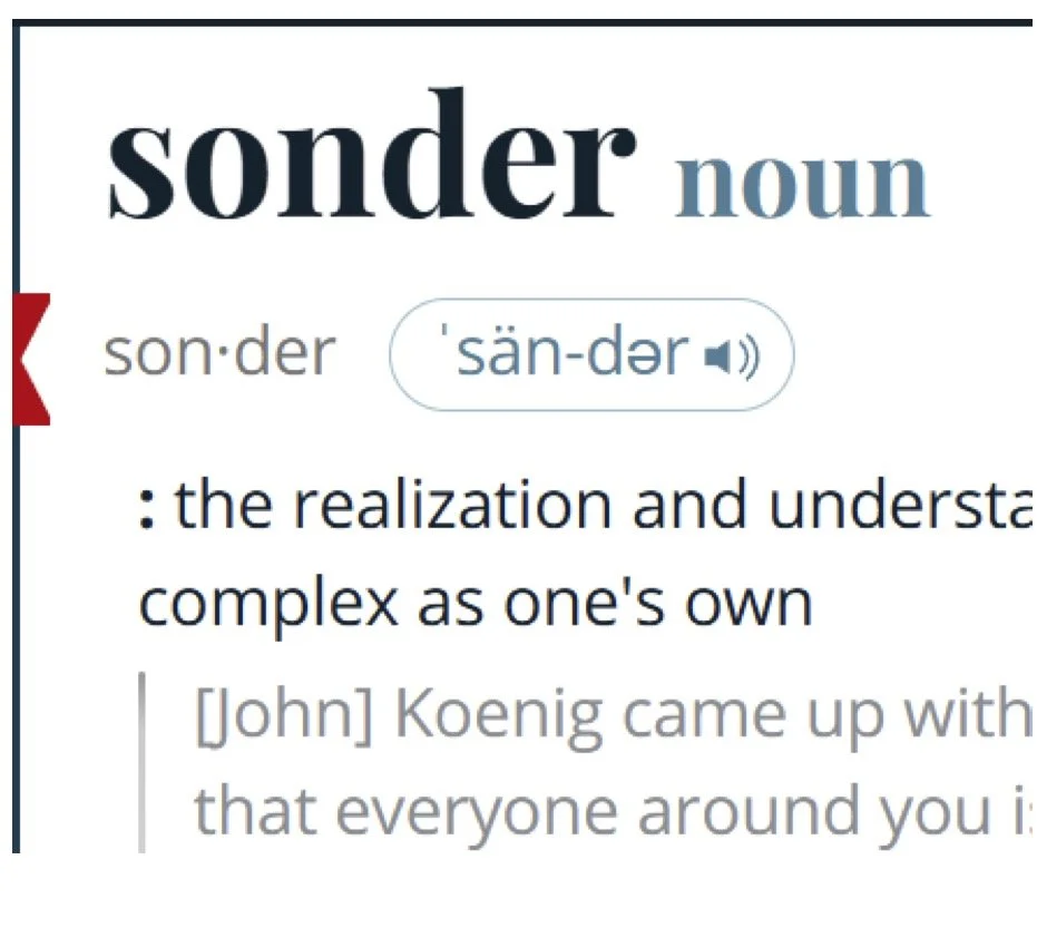 Examining the Concept of Sonder