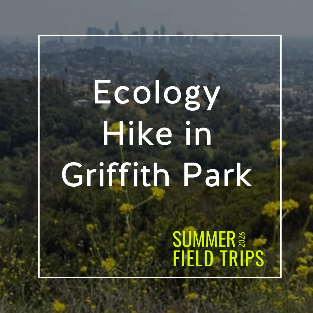 Ecology Hike in Griffith Park