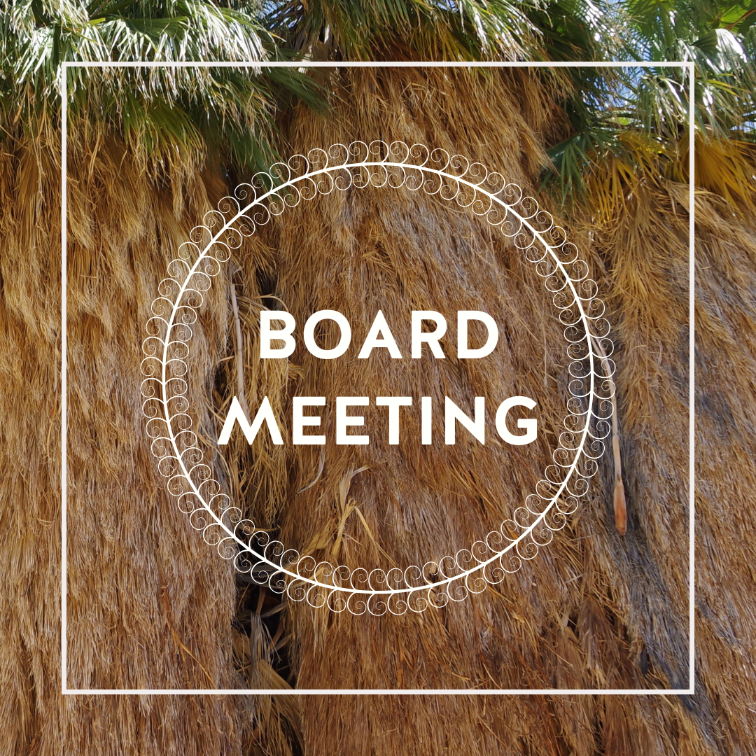 Board Meeting Online