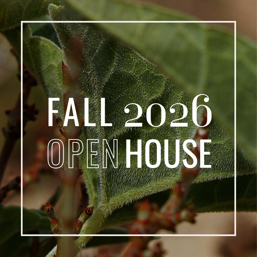 Open House