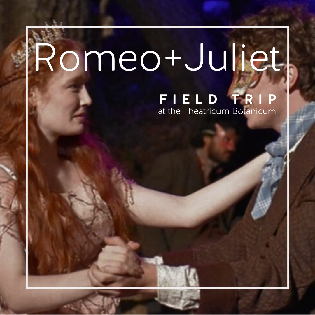 Field Trip: Romeo + Juliet at Theatricum Botanicum