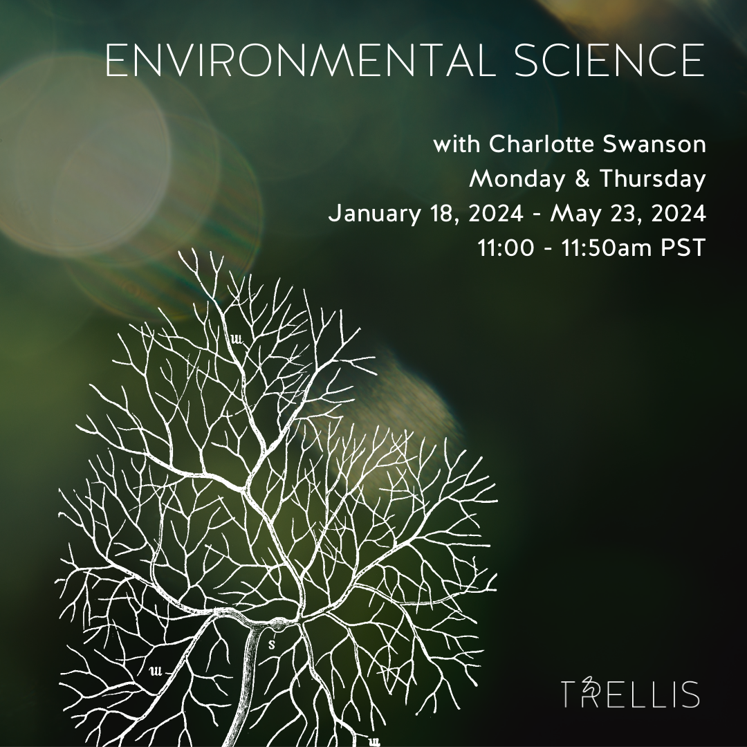 Environmental Science with Charlotte Swanson

Ages
13 - 18+ yrs
Dates
Mon, Thu
Jan 18, 2024 - May 23, 2024
31 classes remaining
Time
11:00am - 11:50am PST
Location
2732 Montrose Ave, Glendale, CA 91020
Instructor
Charlotte S.
Capacity
10 students


C