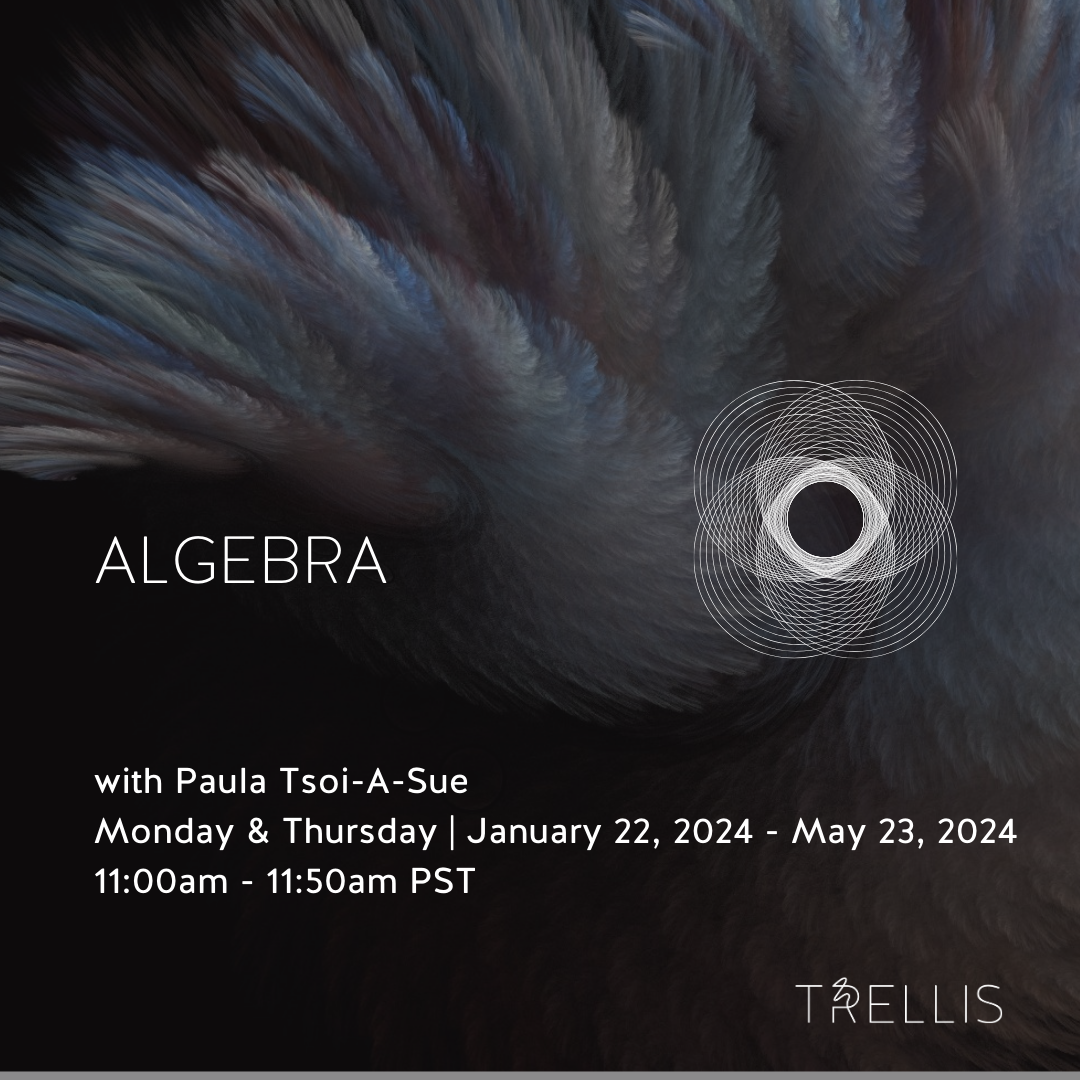 Algebra with Paula Tsoiu-A-Sue

Ages
12 - 17 yrs
Dates
Mon, Thu
Jan 22, 2024 - May 23, 2024
31 classes
Time
11:00am - 11:50am PST
Location
2732 Montrose Ave, Glendale, CA 91020
Instructor
Paula T.
Capacity
10 students

Class Experience
This course is
