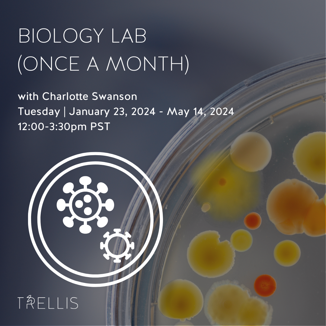 Biology Lab (Once a month) with Charlotte Swanson

Ages
12 - 18+ yrs
Dates
Tue, Jan 30, 2024 - May 14, 2024
5 classes
Time
12:00pm - 3:30pm PST
Location
2732 Montrose Ave, Glendale, CA 91020
Instructor
Charlotte S.
Capacity
8 students
Class Experienc