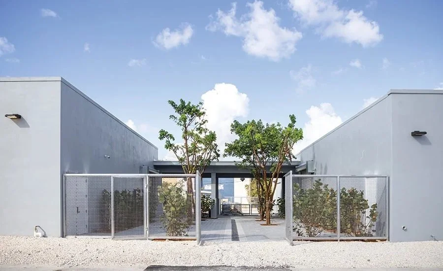 Rubell Museum_extracted_1912-FirstLook-TheFruitsofOneFamilysLabor-01.jpeg