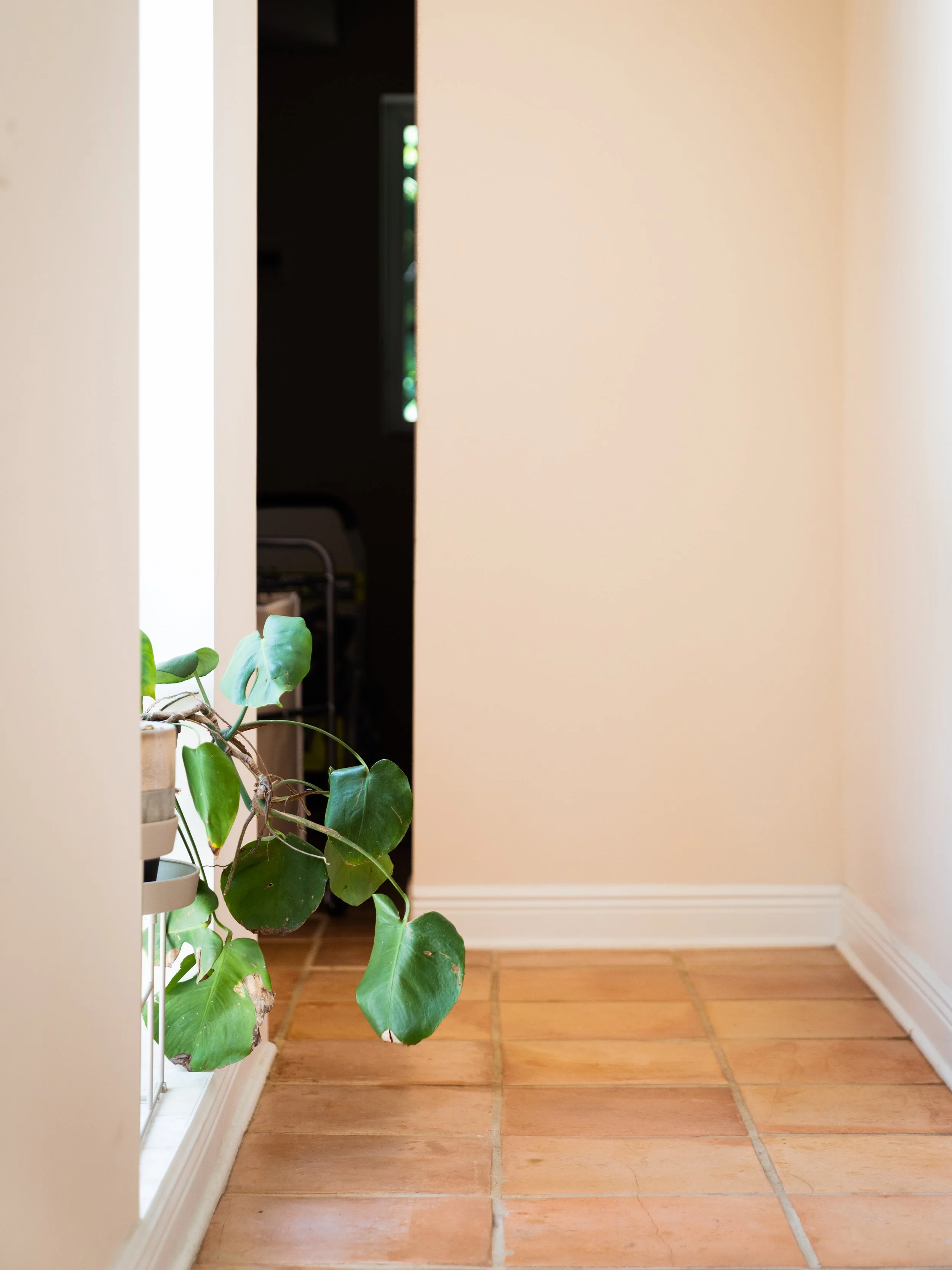 Burns Residence-DSC06505-Edit.jpg