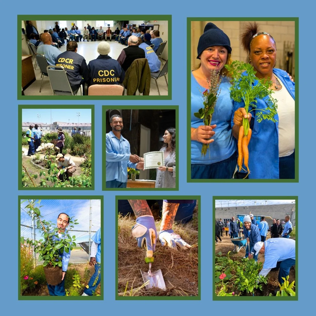 The Healing Power of Nature: LT’s Ecotherapy Model