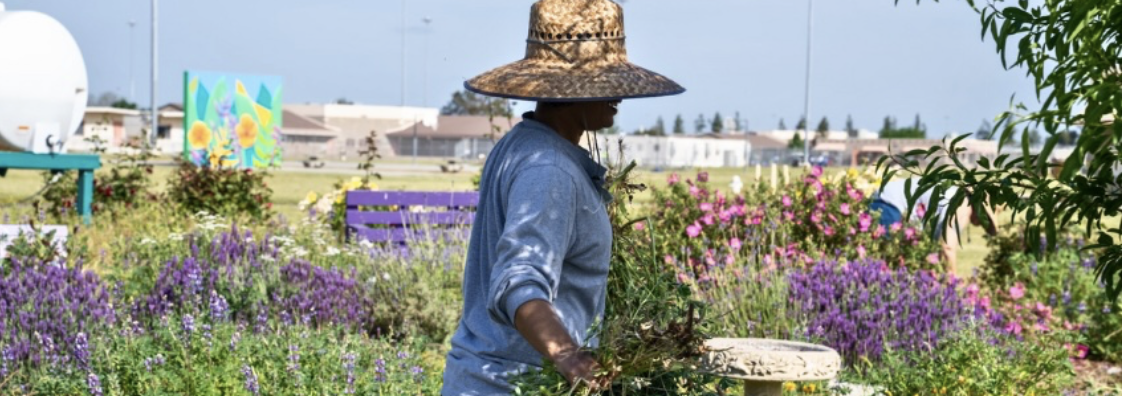 Keeping the Garden Alive at CCWF