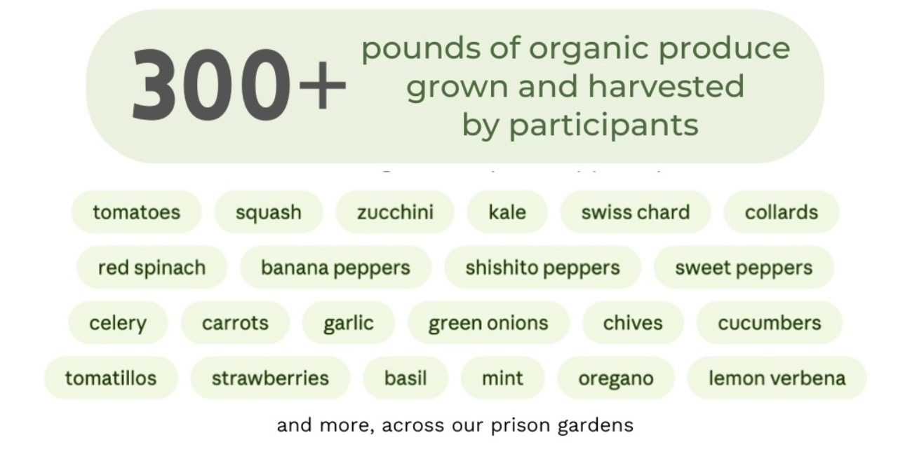 What our gardens grew this month