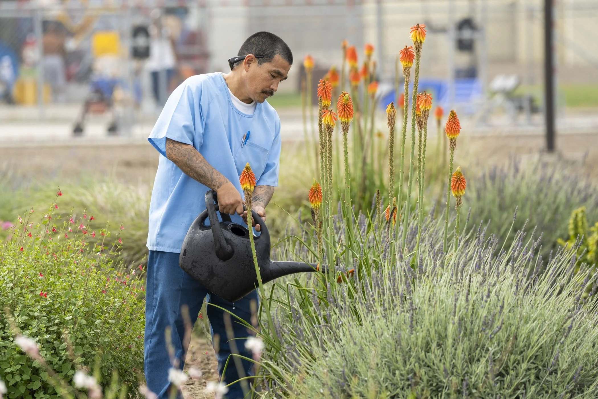 watering flowers good.jpeg