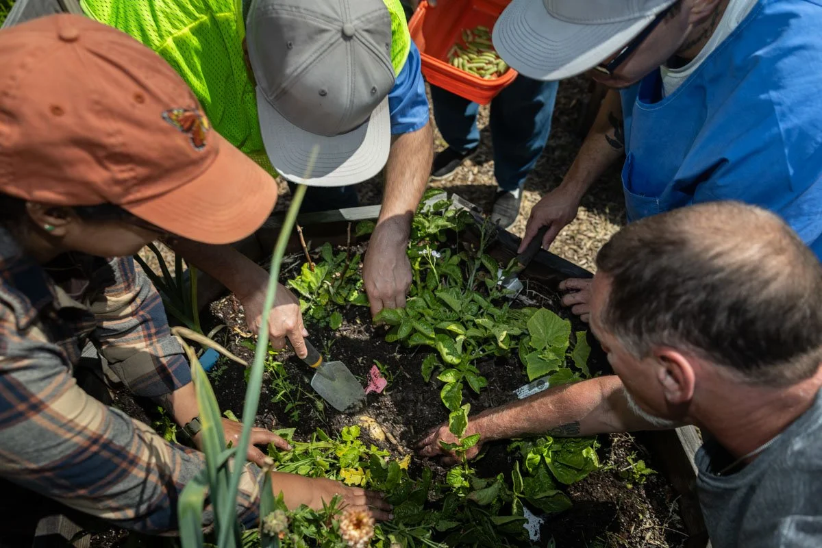 Join Our Team — LAND TOGETHER