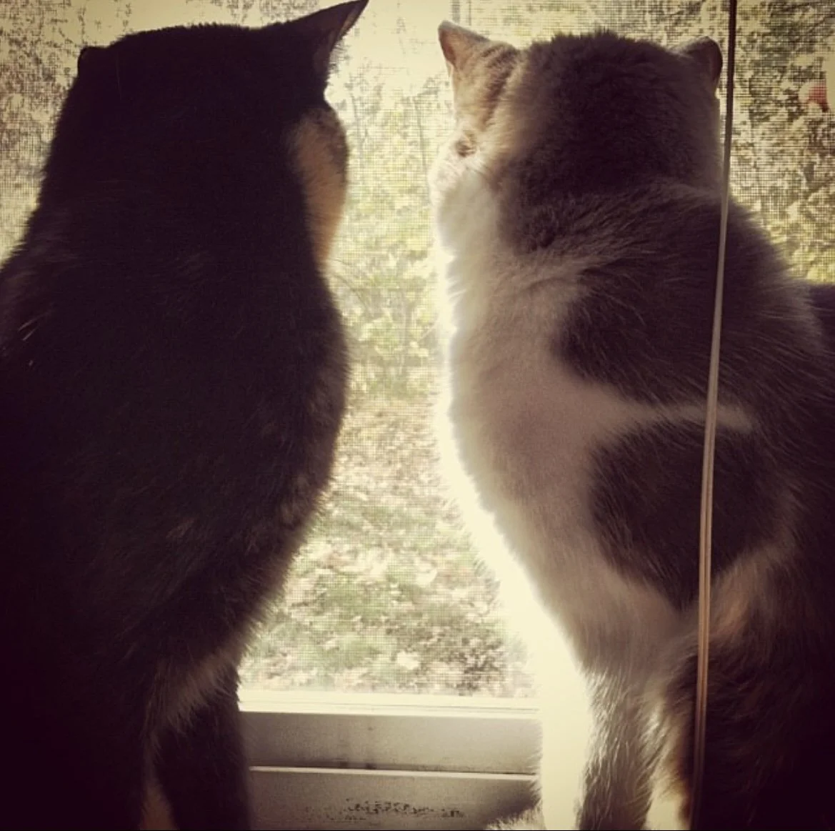 Expecting the Unexpected Expense