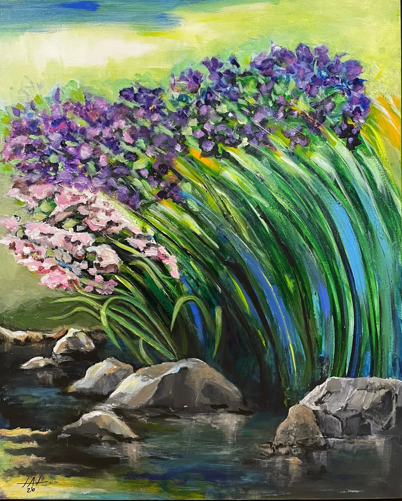 Japanese Iris