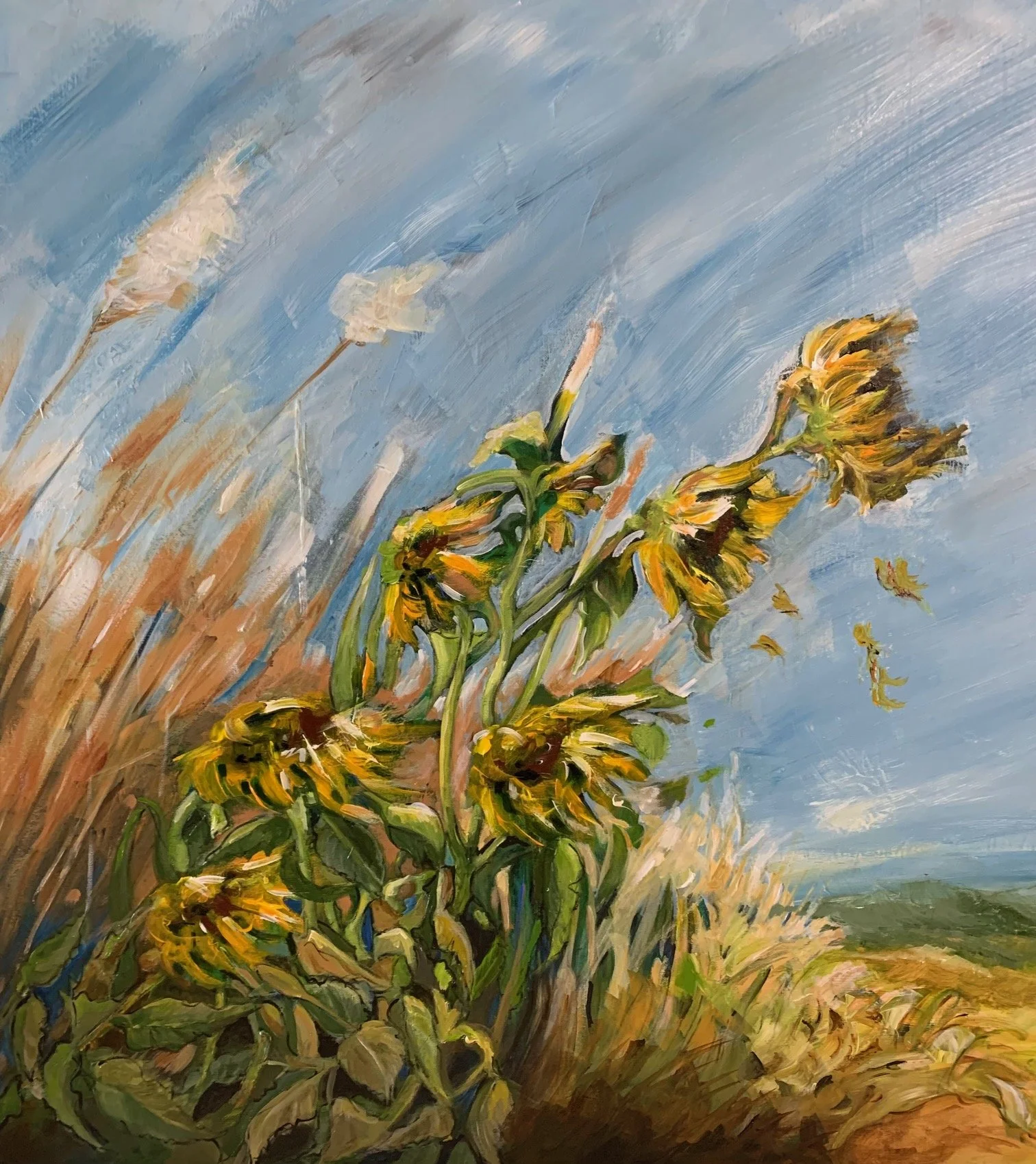 In the Wind