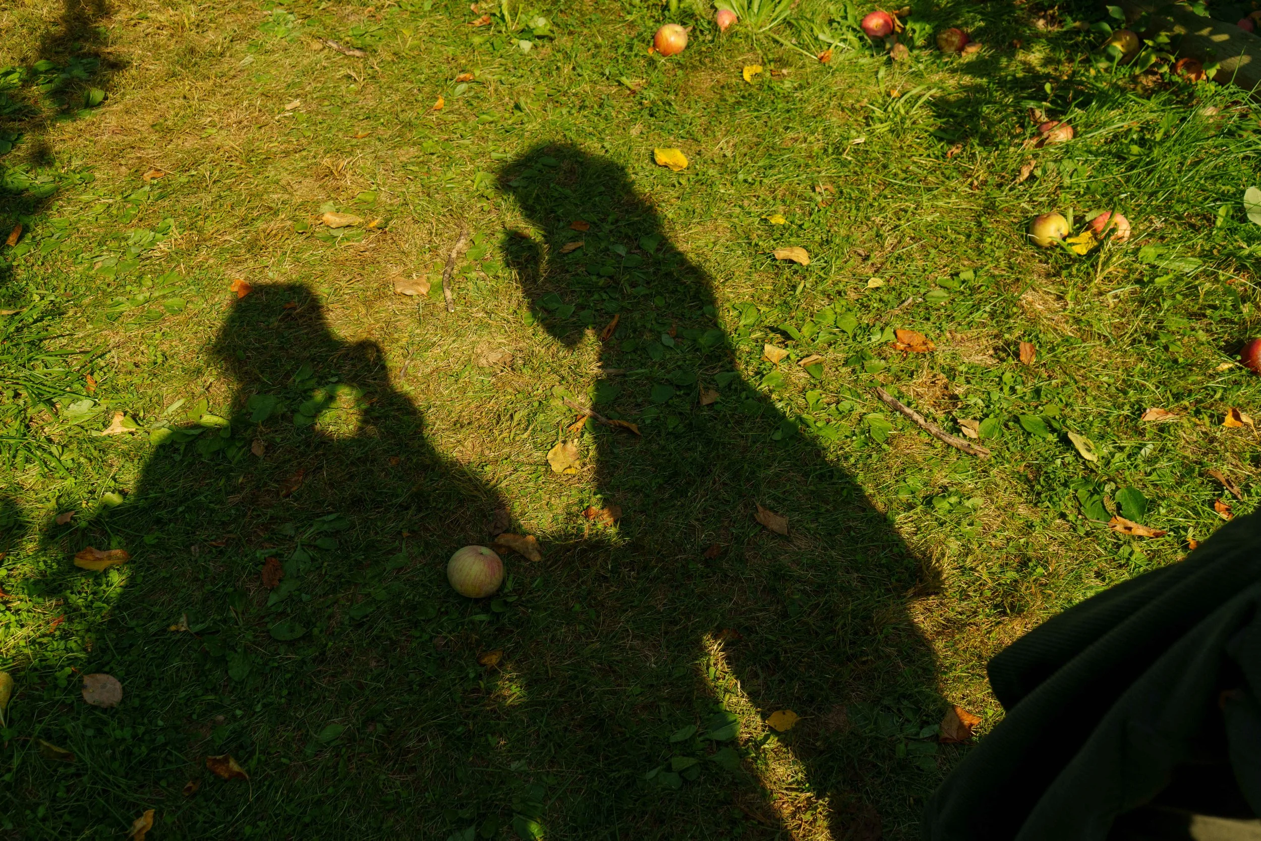 20241014_Chloe-DC_128.JPG