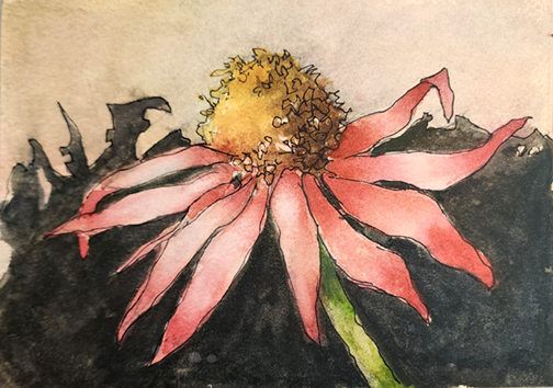 Watercolor Paint and Sip