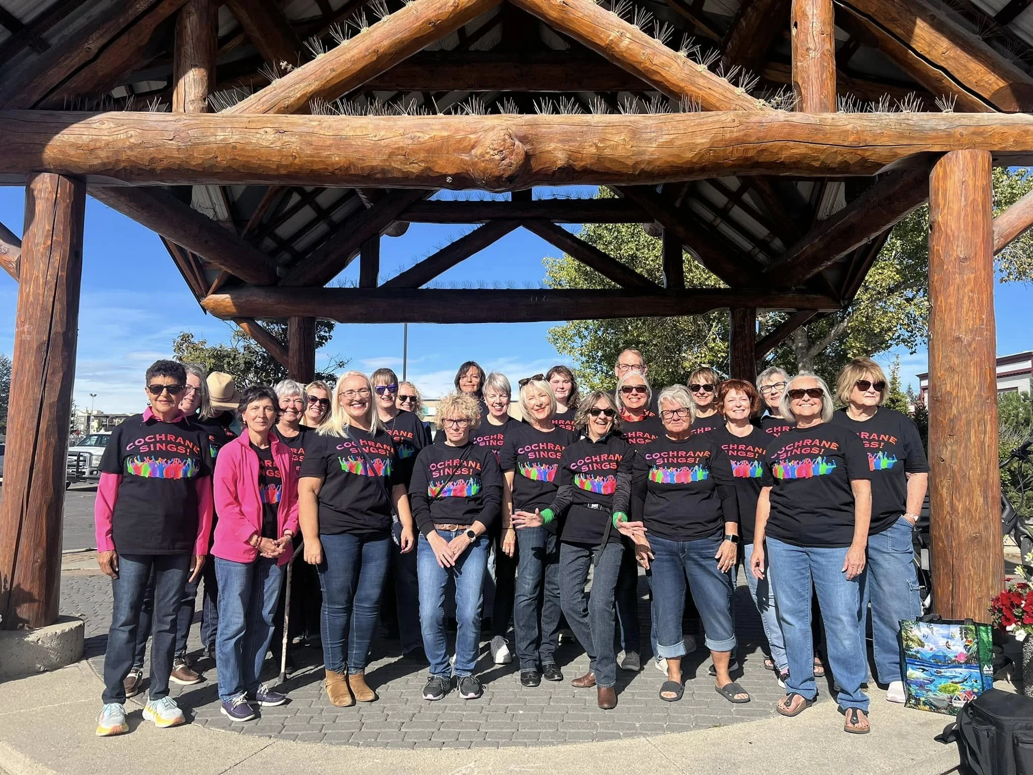 Cochrane Discovery Days