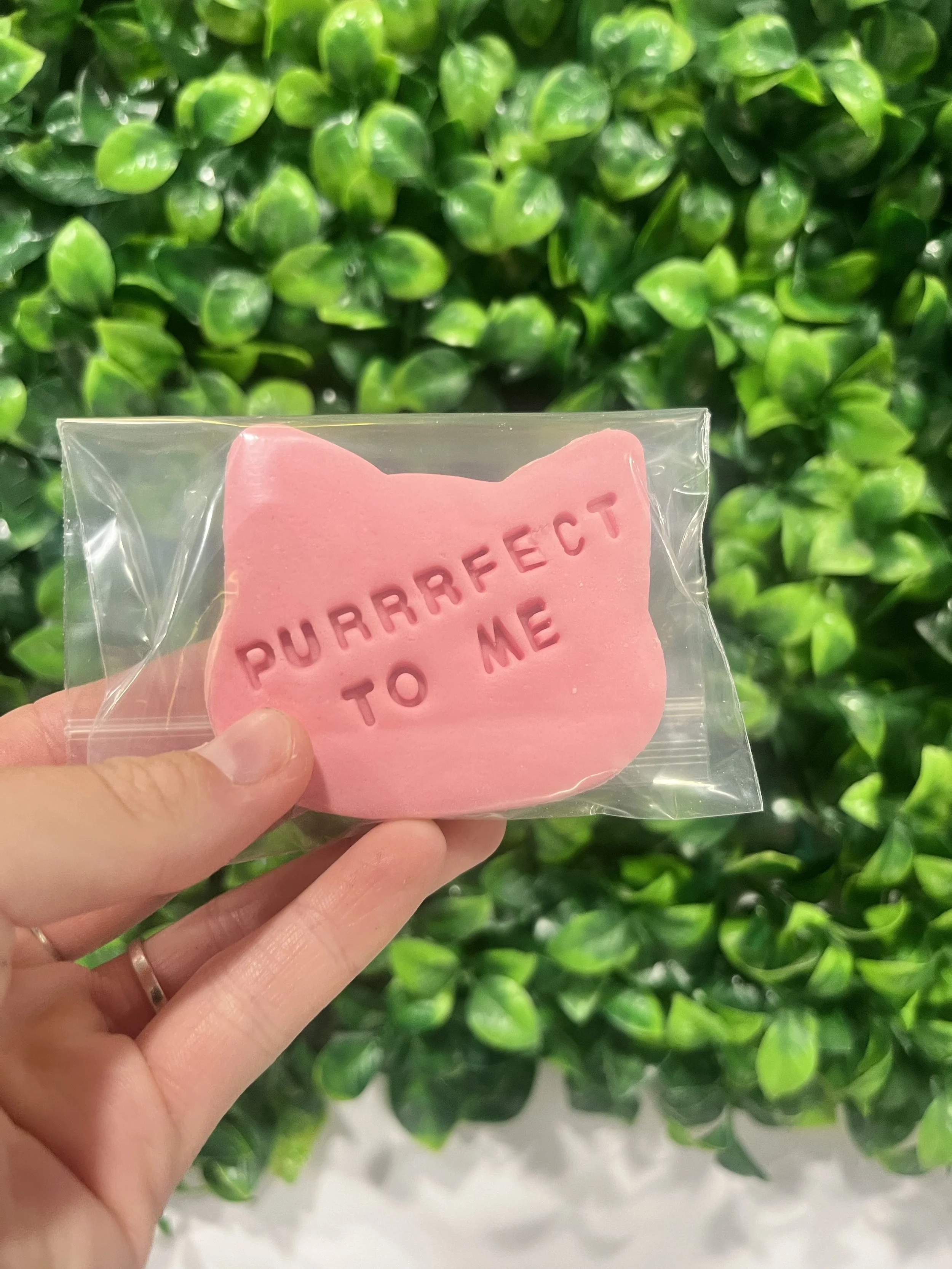 You’re Purrrfect to me - sugar cookie