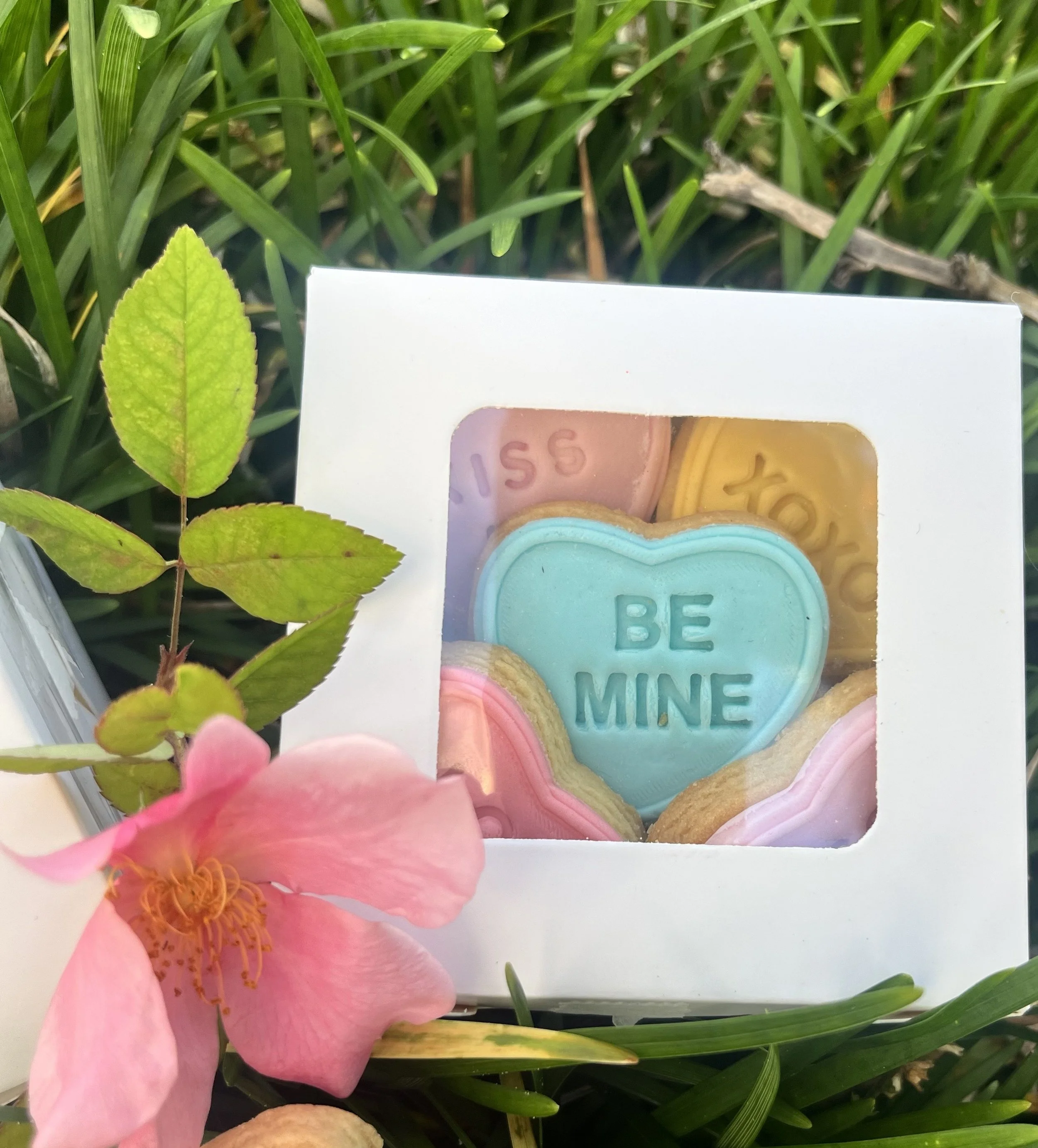 Valentines Day - Sweet Heart Box set - SMALL 8x mini cookies
