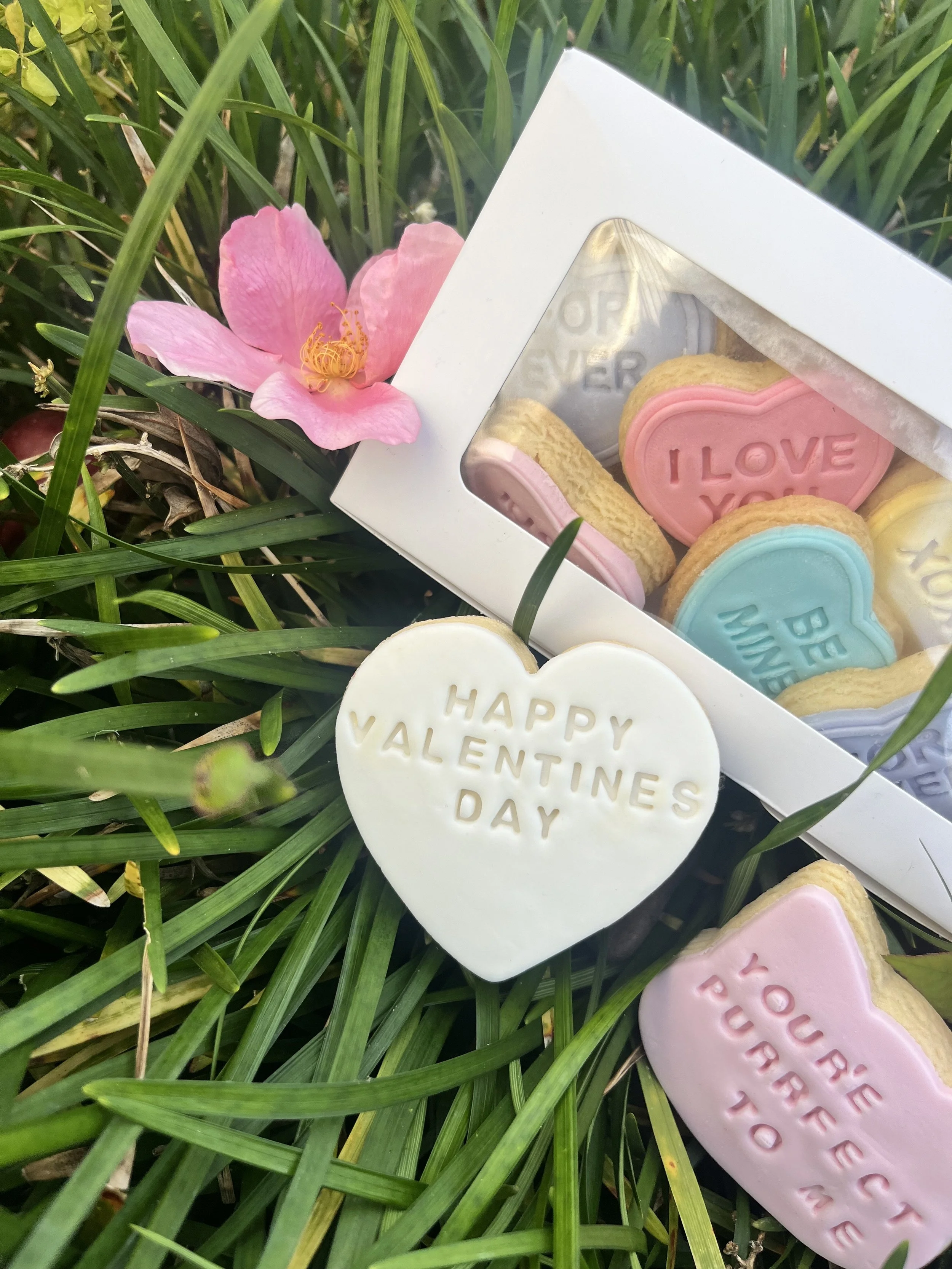 Valentines Day - Sweet Heart box - LARGE 16x mini cookies