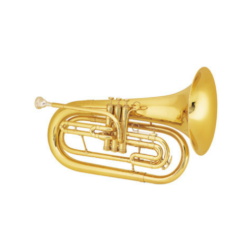 Rentals — Ackermans