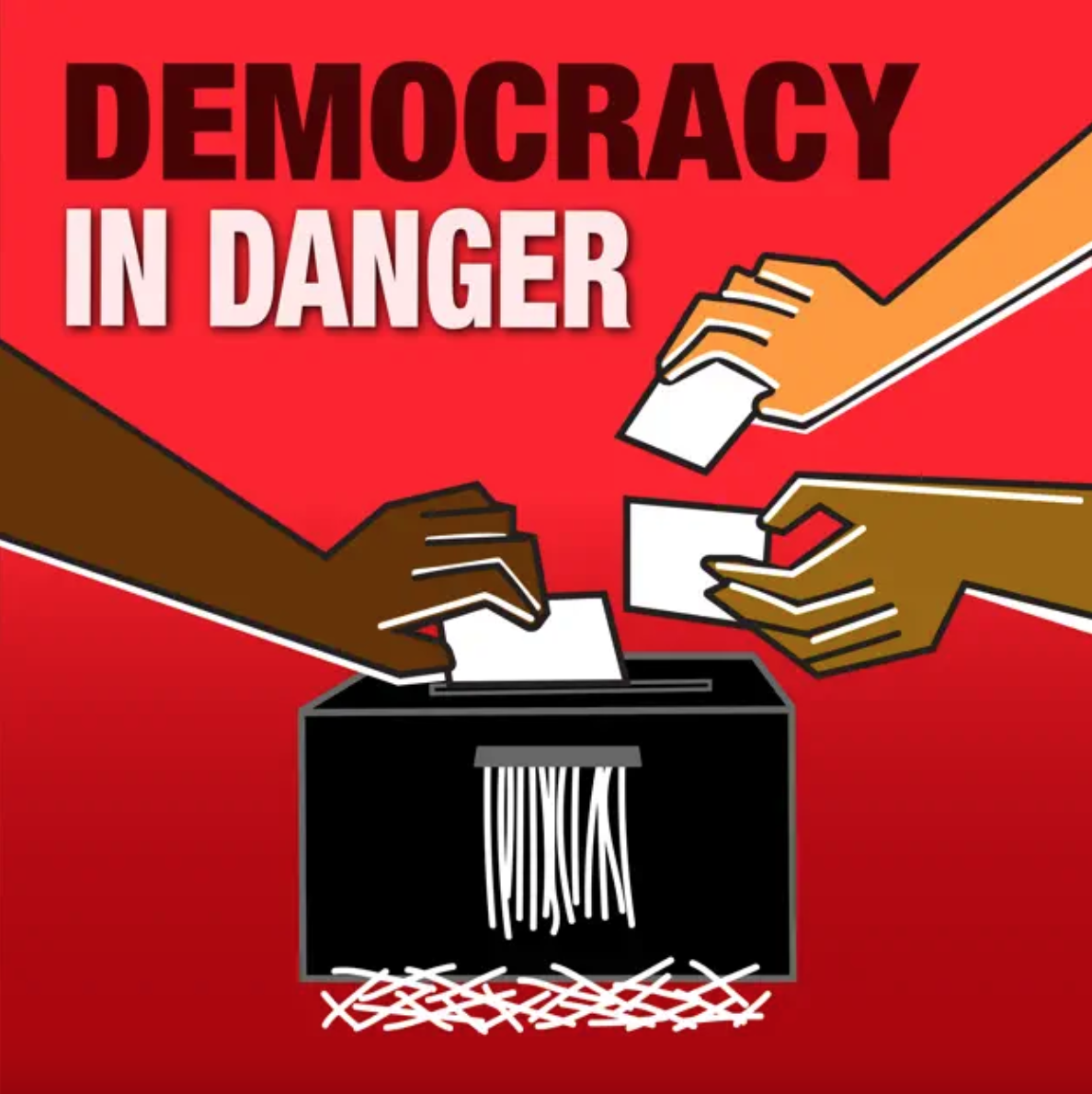 Democracy in Danger Logo.png