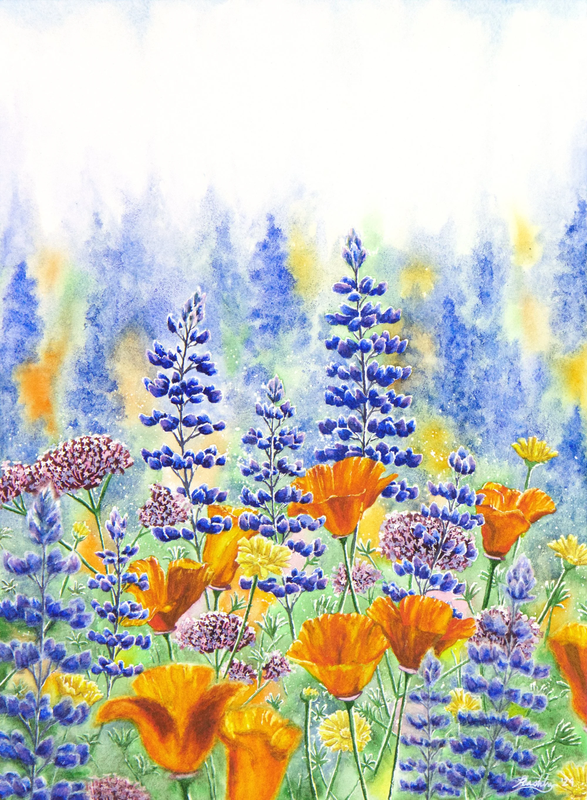 'Imagination', watercolor on Arches cold press paper, 12x16" unframed, 2024 - SOLD