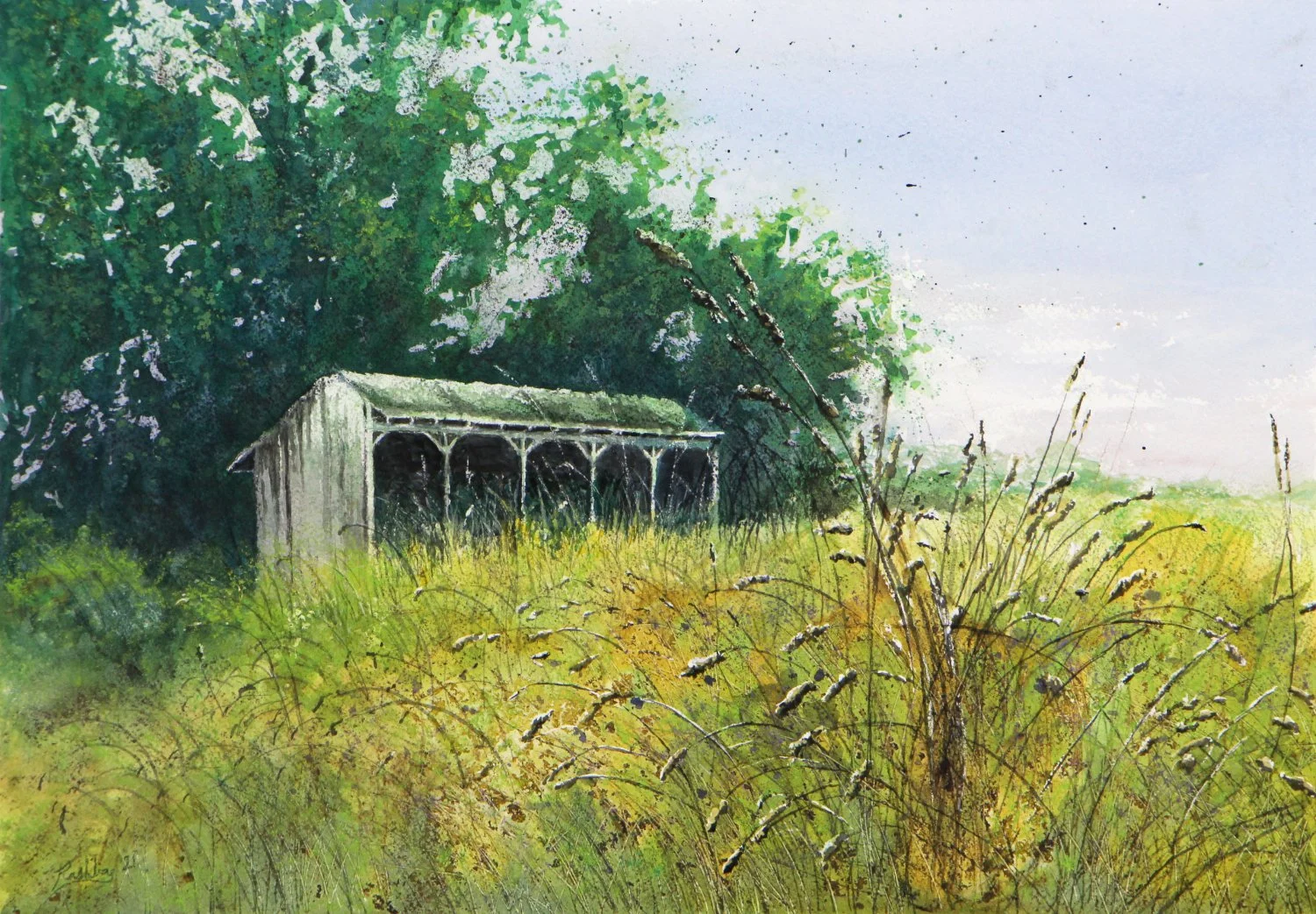 'Tisbury Barn', watercolor on Arches cold press paper, 17 3/4” x 12 1/2” unframed, 2021 - available