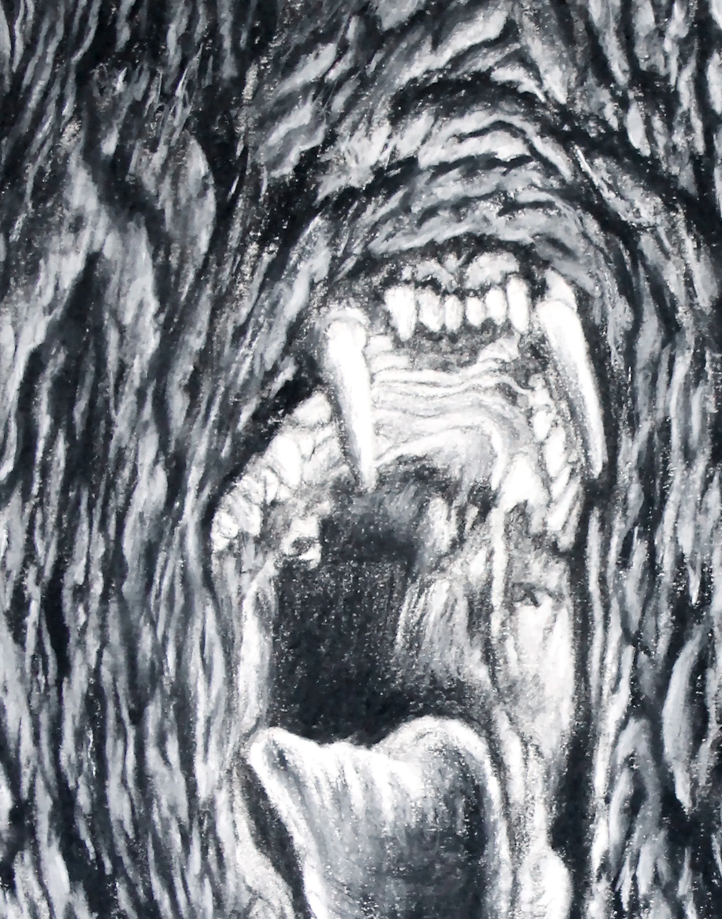 Lion Mouth_Dtl1.jpg