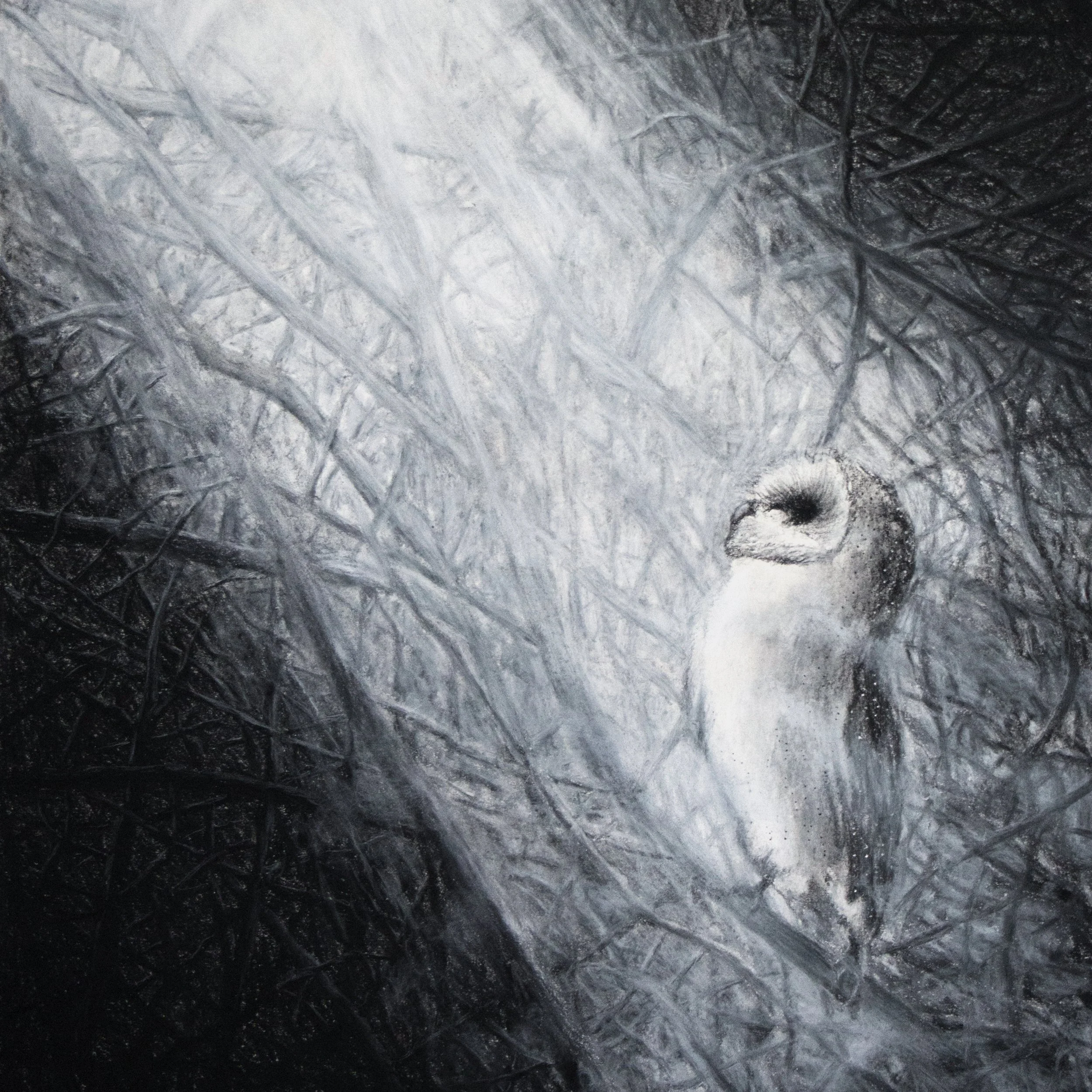 Barn Owl Forest Cage.jpg