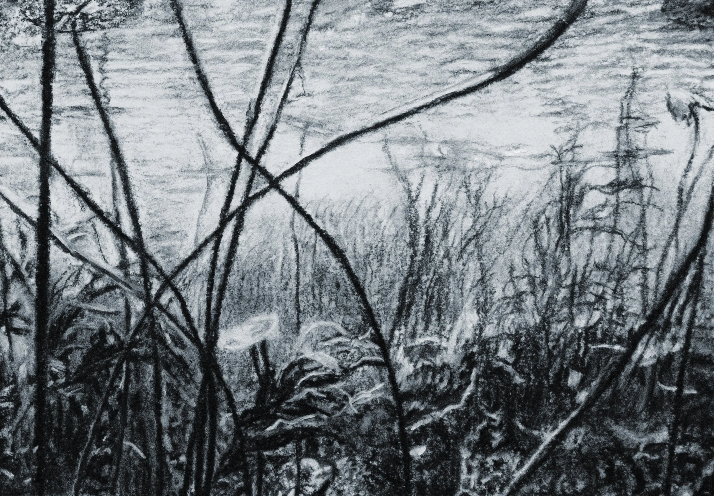 Water Lilies_Dtl2.jpg