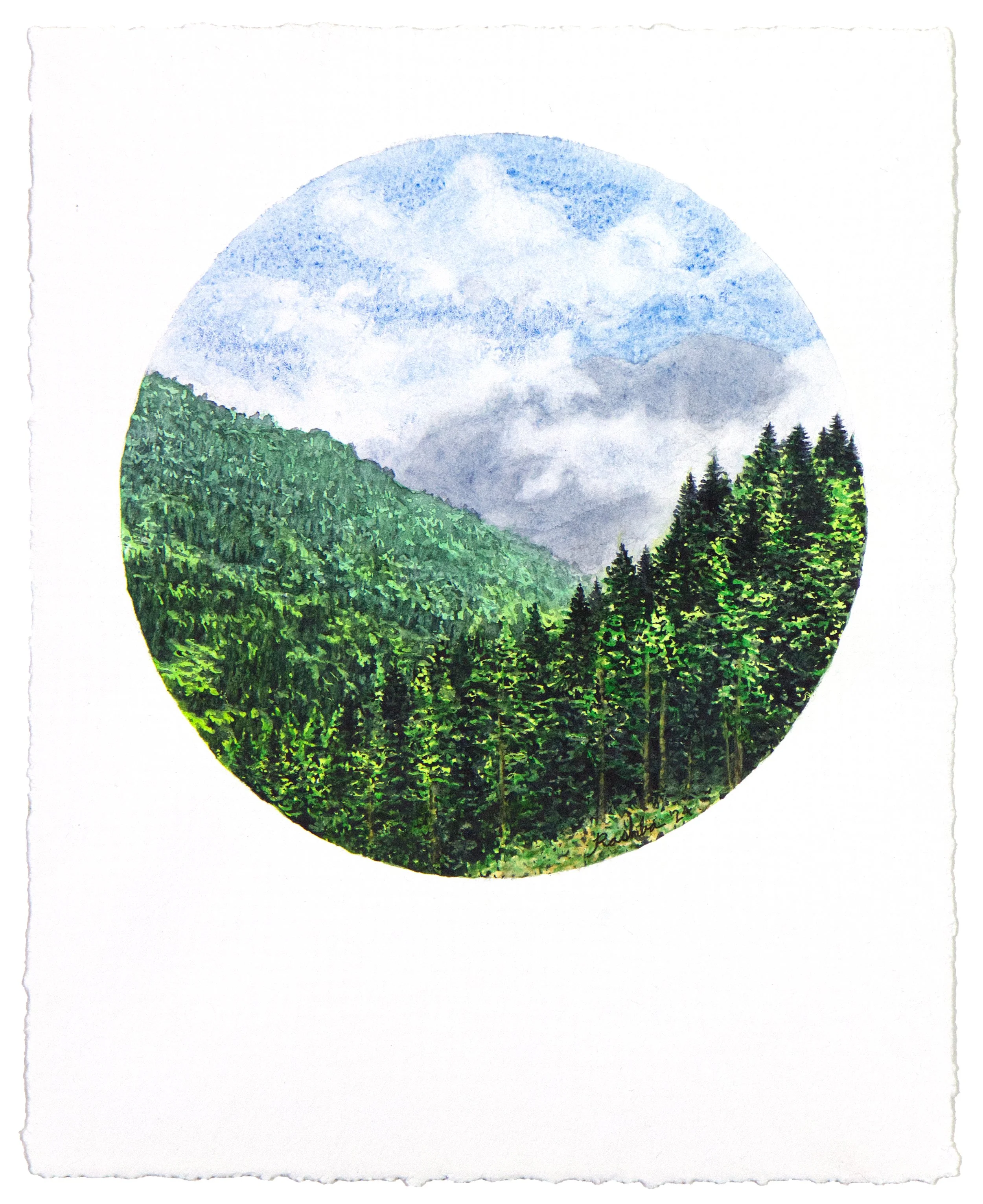 'What We Cannot Yet See, watercolor on deckled edge watercolor paper, 8x10" unframed, 2024 - available