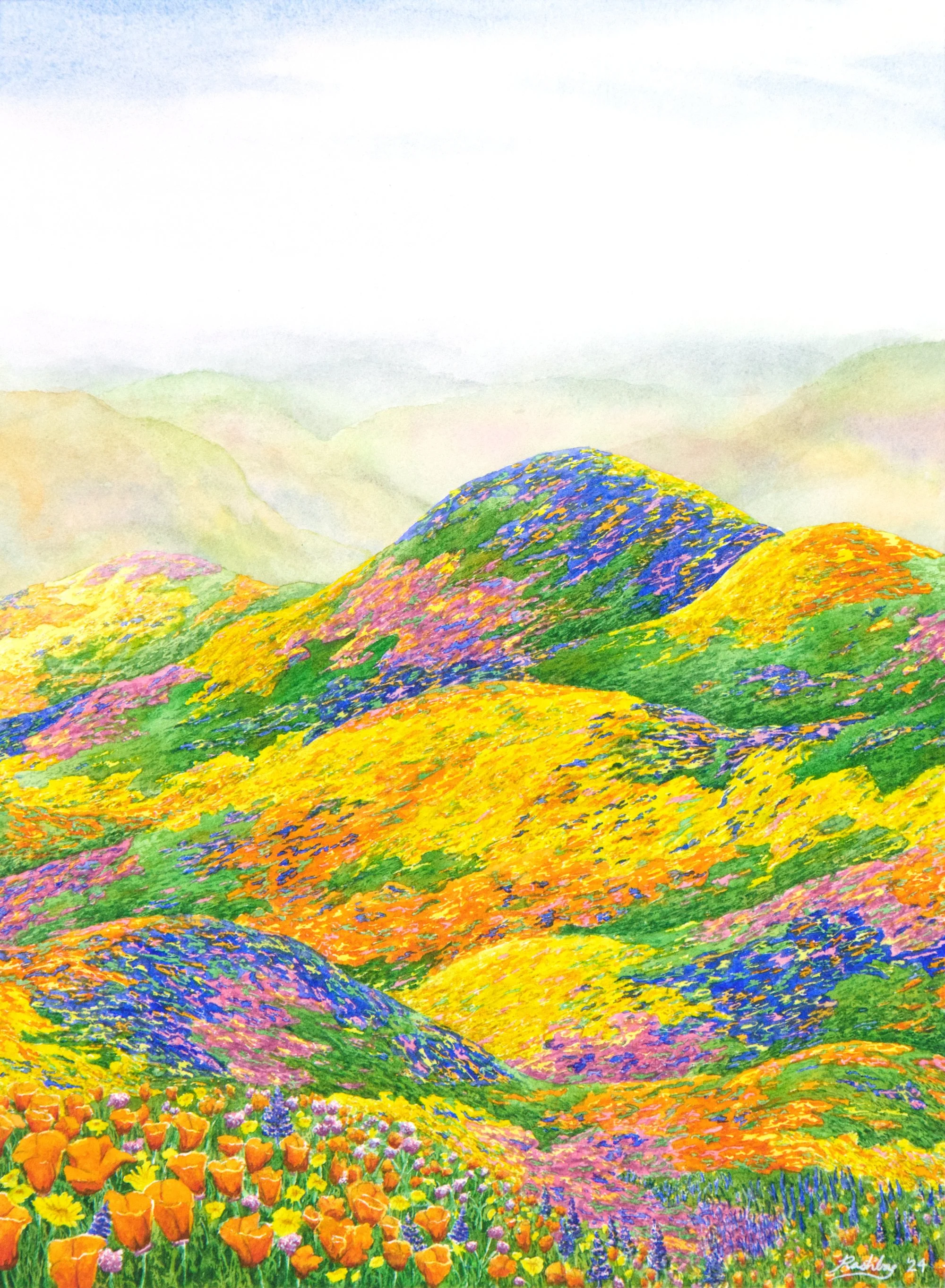 'Abundance', watercolor on Arches cold press paper, 12x16" unframed, 2024 - available