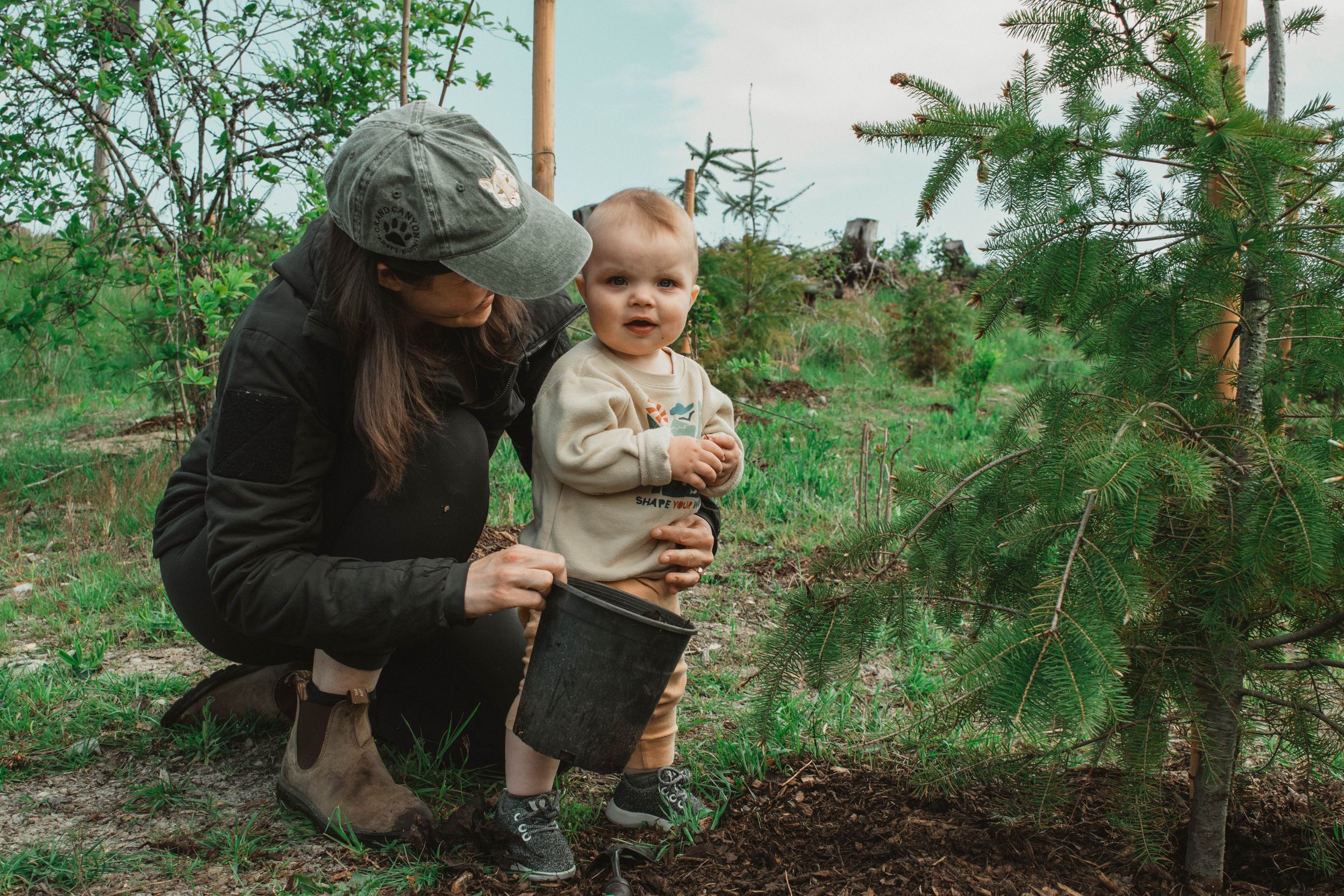 An adult woman and a young child planting a small tree outdoors in a green forested area.