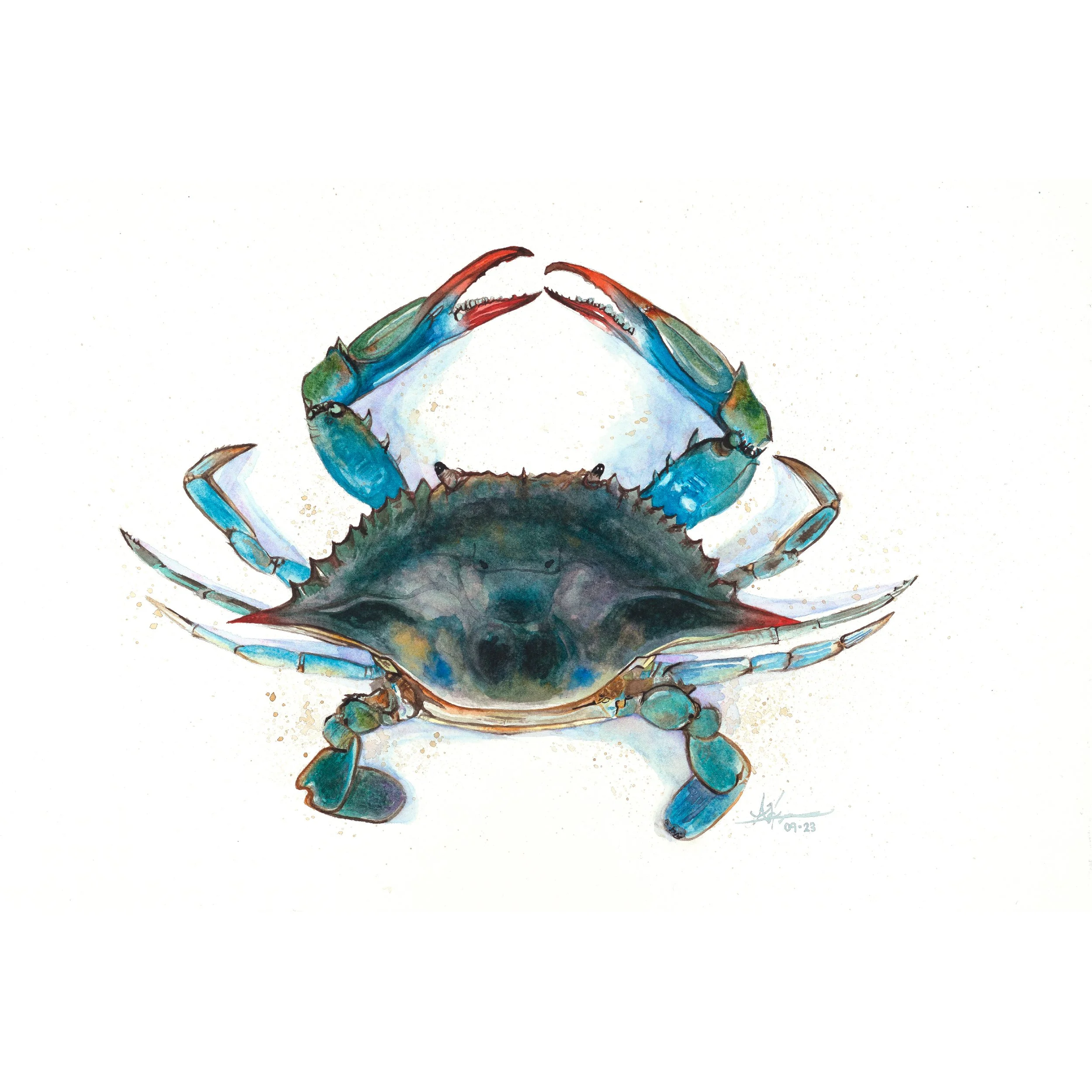 Crab.jpg